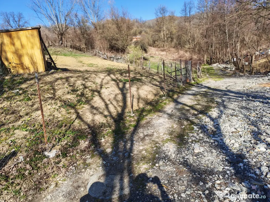 teren baile Olănești 