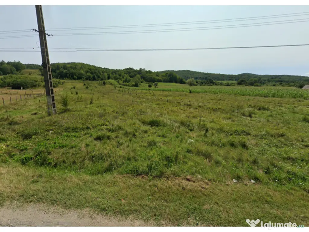 Teren 18.480 mp de vânzare Berlești, Gorj 