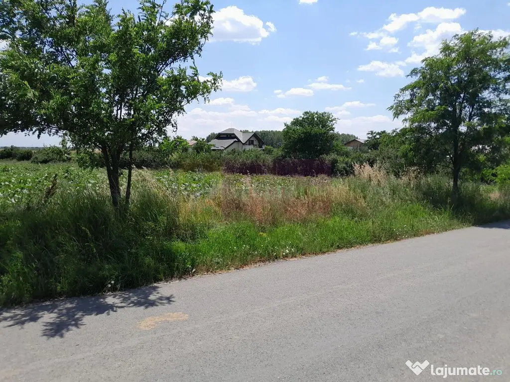 DE VANZARE 2 LOTURI LIPITE (TOTAL 16.500 MP) IN SAT TEISO...