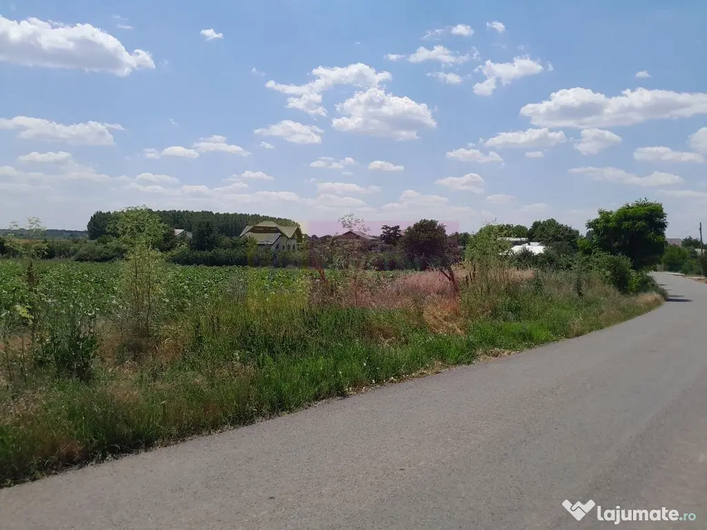 DE VANZARE 2 LOTURI LIPITE (TOTAL 16.500 MP) IN SAT TEISO...