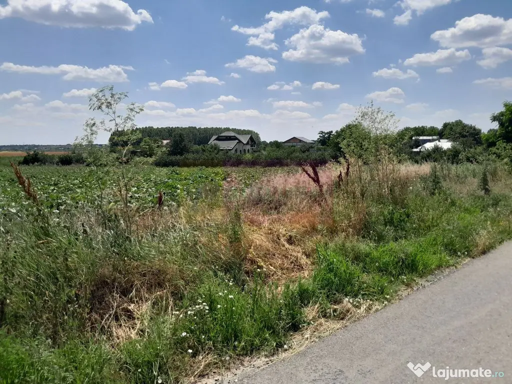 DE VANZARE 2 LOTURI LIPITE (TOTAL 16.500 MP) IN SAT TEISO...