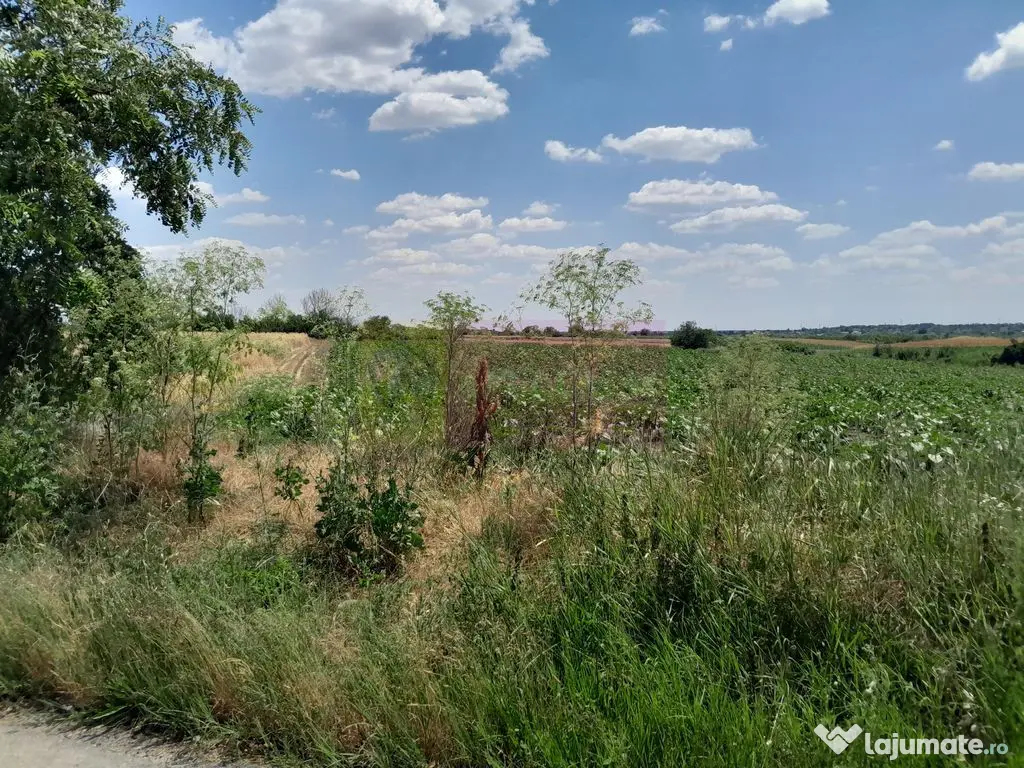 DE VANZARE 2 LOTURI LIPITE (TOTAL 16.500 MP) IN SAT TEISO...