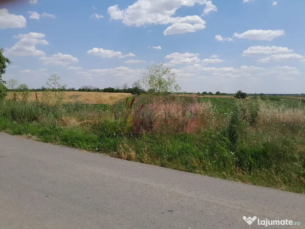 DE VANZARE 2 LOTURI LIPITE (TOTAL 16.500 MP) IN SAT TEISO...