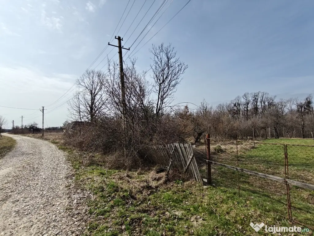 Teren Intravilan 1.472 mp Cotmeana - Lintești, Utilități la gard, lângă Pădure 