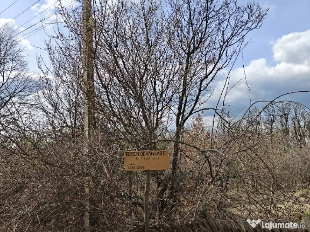 Teren Intravilan 1.472 mp Cotmeana - Lintești, Utilități la gard, lângă Pădure 