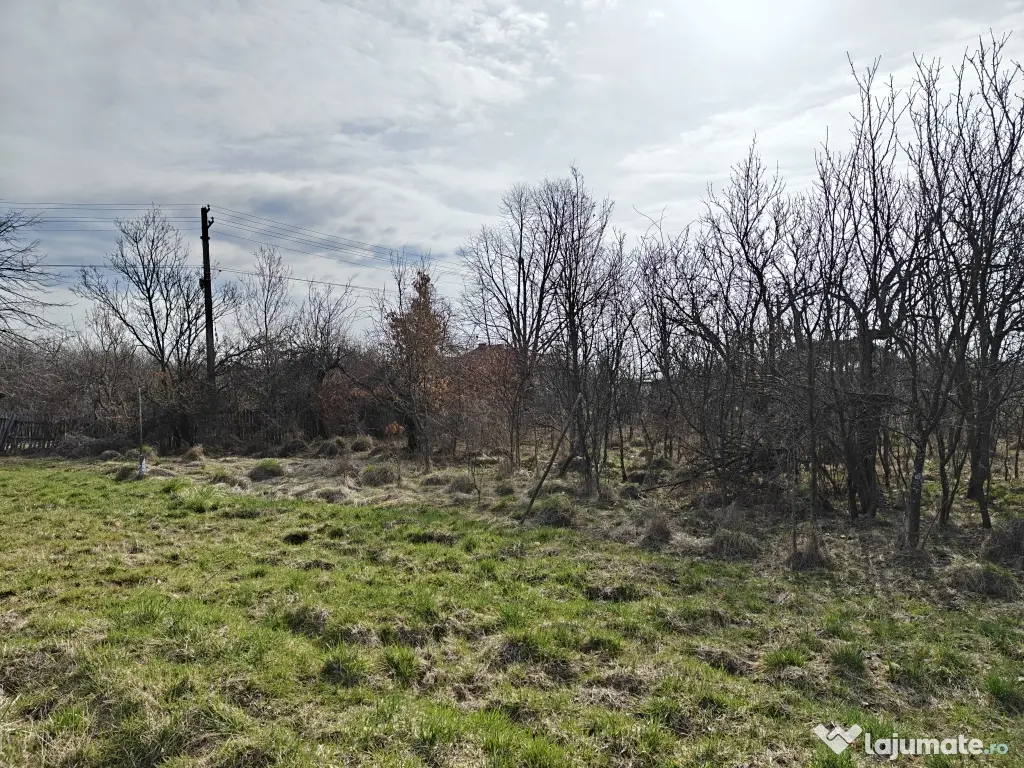 Teren Intravilan 1.472 mp Cotmeana - Lintești, Utilități la gard, lângă Pădure 