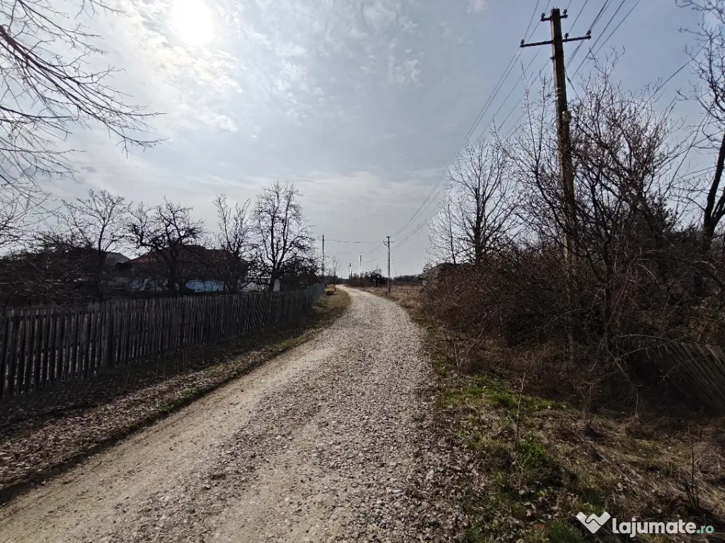 Teren Intravilan 1.472 mp Cotmeana - Lintești, Utilități la gard, lângă Pădure 