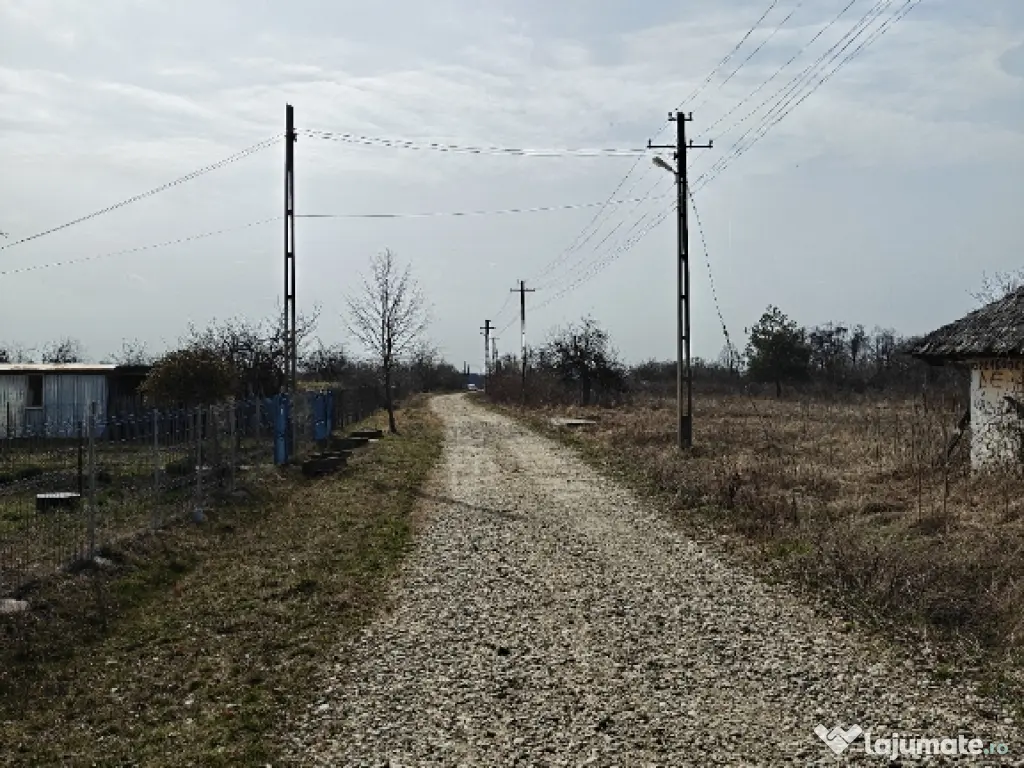Teren Intravilan 1.472 mp Cotmeana - Lintești, Utilități la gard, lângă Pădure 