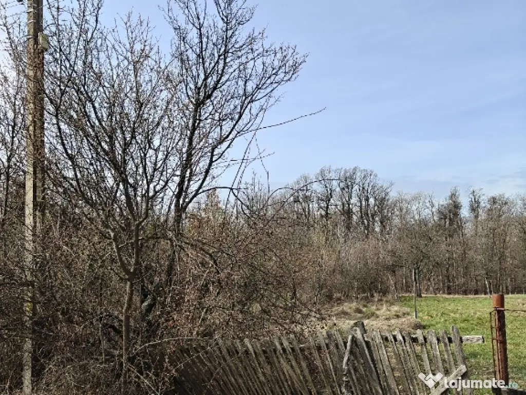 Teren Intravilan 1.472 mp Cotmeana - Lintești, Utilități la gard, lângă Pădure 