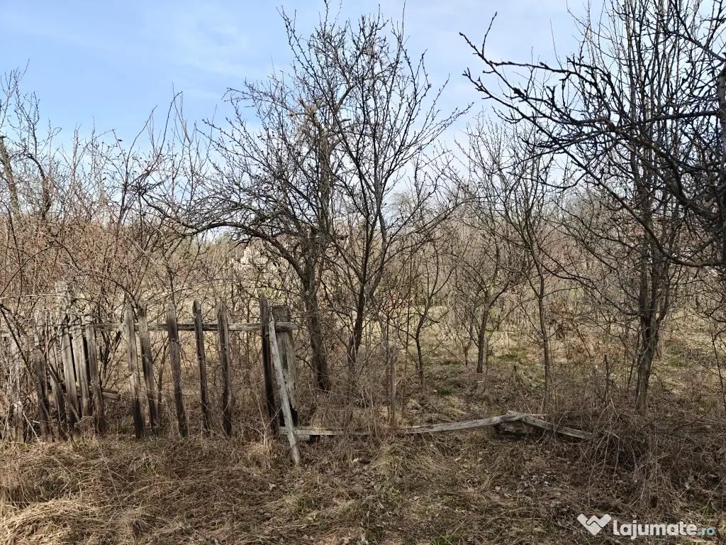 Teren Intravilan 1.472 mp Cotmeana - Lintești, Utilități la gard, lângă Pădure 