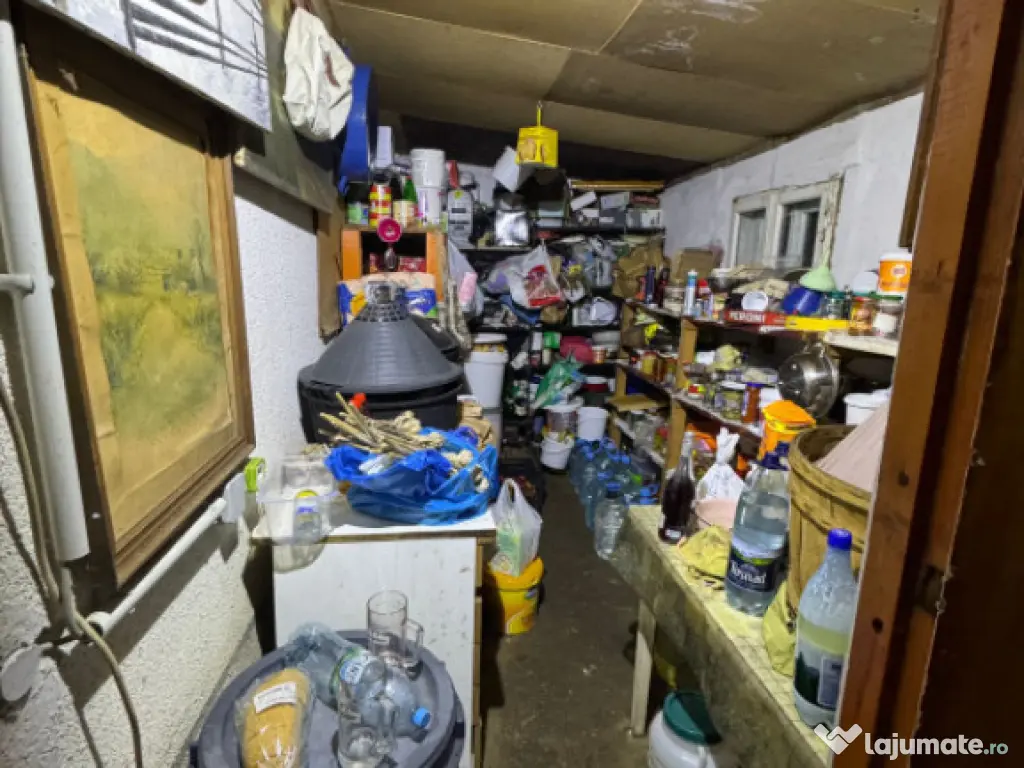 Casă 100 mp în Satul Nou de Sus, 8 ari, garaj 