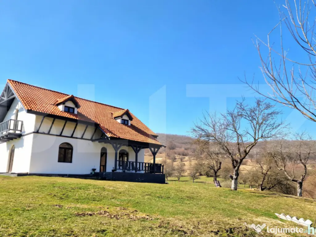 Oportunitate de investitie! Agropensiune în mijlocul naturi 