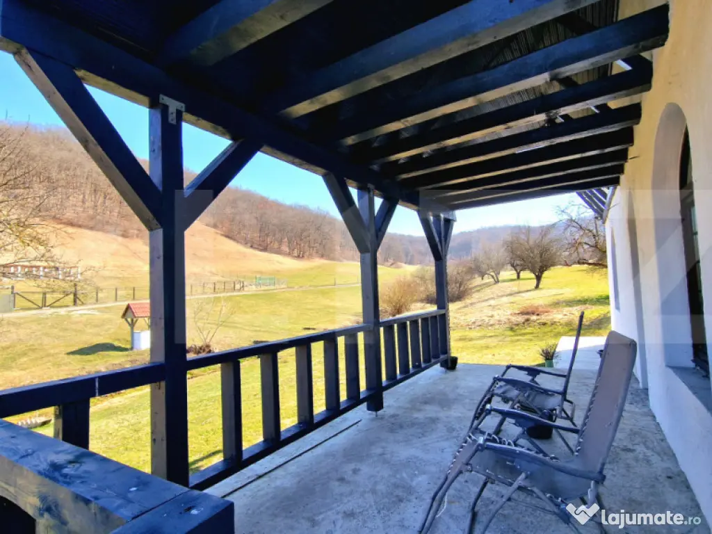 Oportunitate de investitie! Agropensiune în mijlocul naturi 