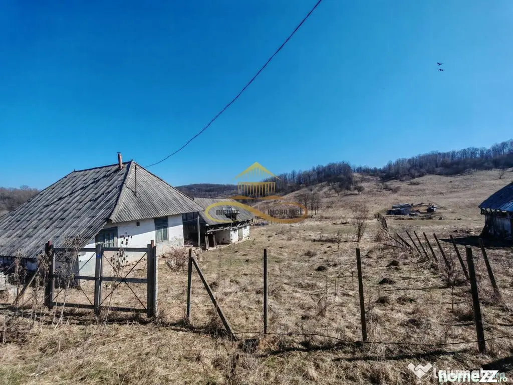 Vand teren intravilan Stejaru Bacau 