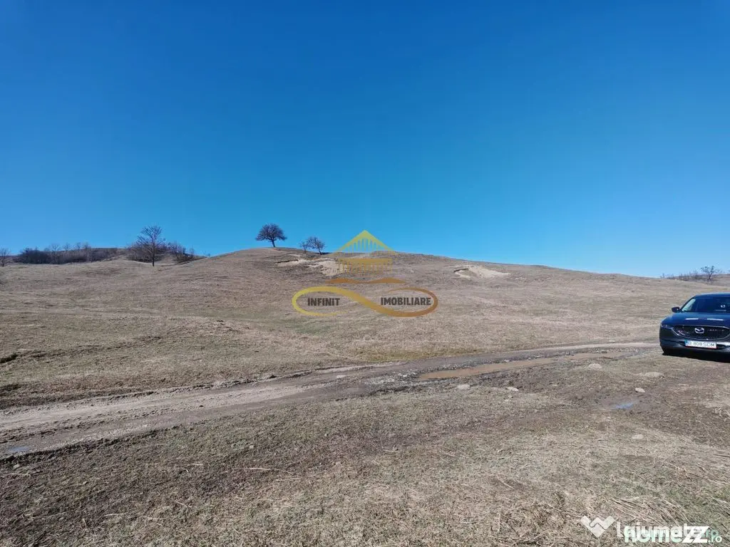 Vand teren intravilan Stejaru Bacau 