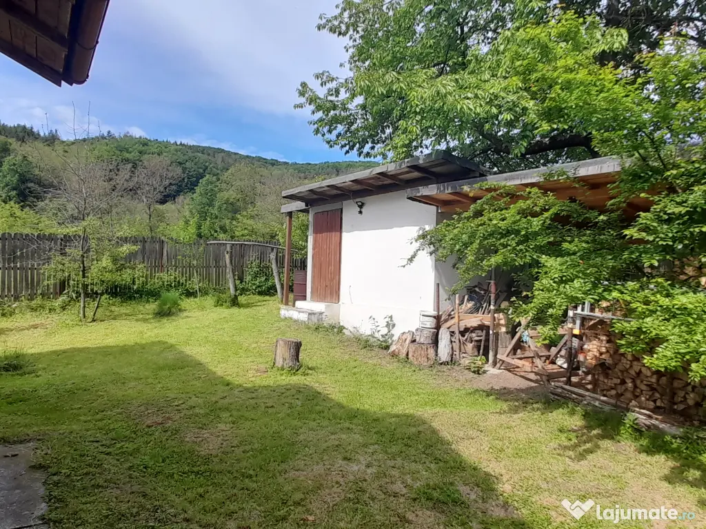 Casa 3 camere și curte 800 mp în comuna Mălureni, sat Bohari, Argeș 