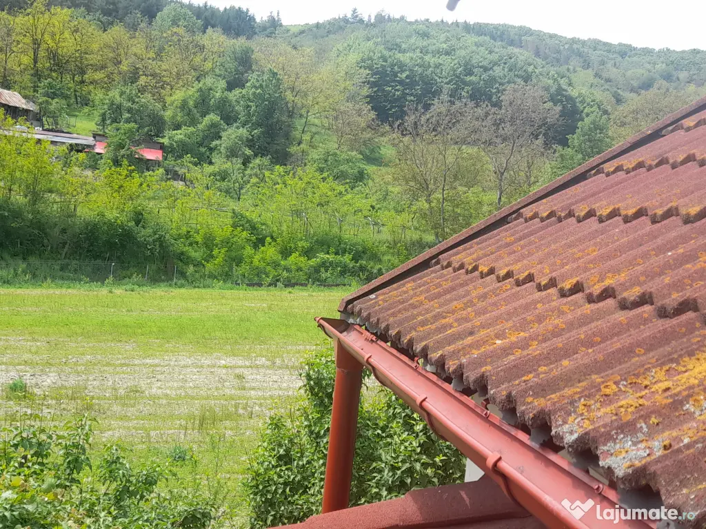 Casa 3 camere și curte 800 mp în comuna Mălureni, sat Bohari, Argeș 