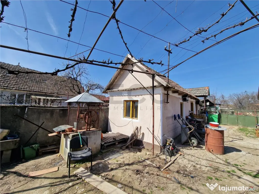 Teren mare cu 2 case in Sabolciu, com. Sacadat 