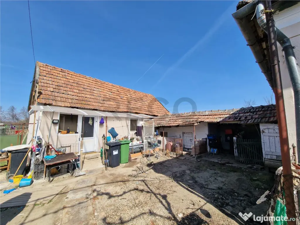 Teren mare cu 2 case in Sabolciu, com. Sacadat 