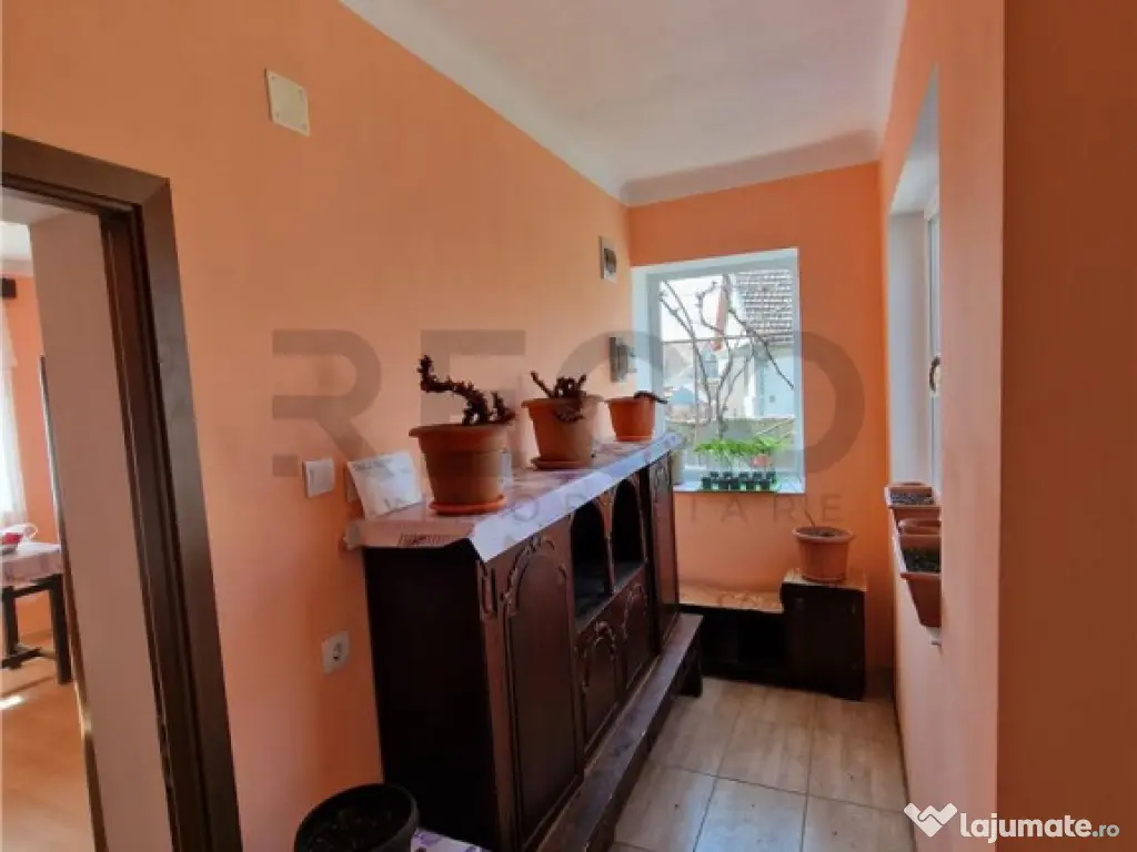 Teren mare cu 2 case in Sabolciu, com. Sacadat 