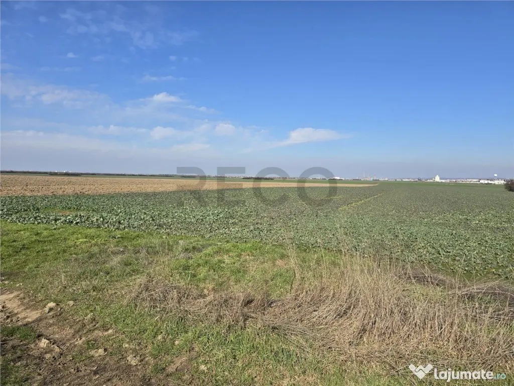 RECO Teren in Oradea