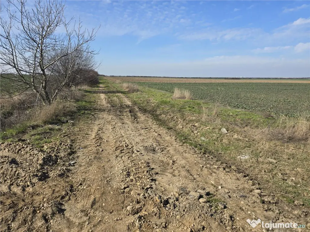 RECO Teren in Oradea 