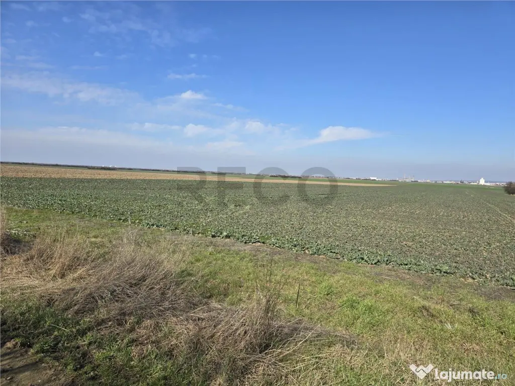 RECO Teren in Oradea 