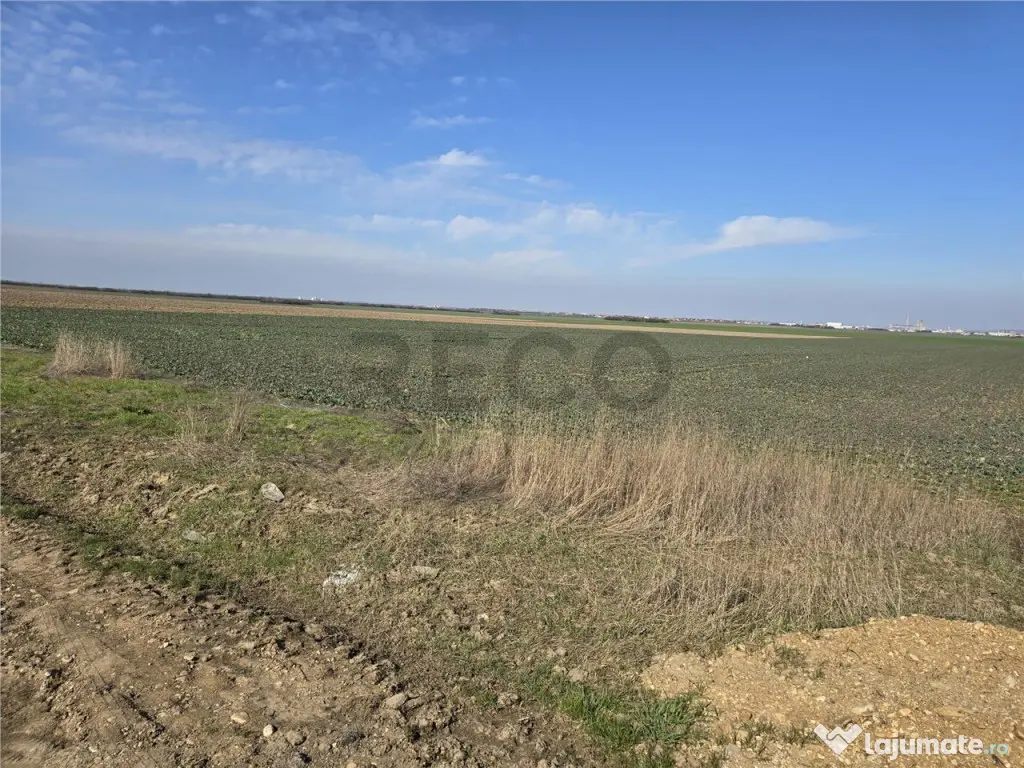 RECO Teren in Oradea 