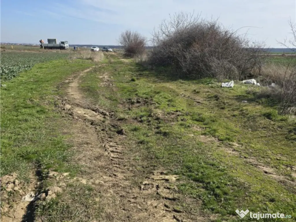 RECO Teren in Oradea 