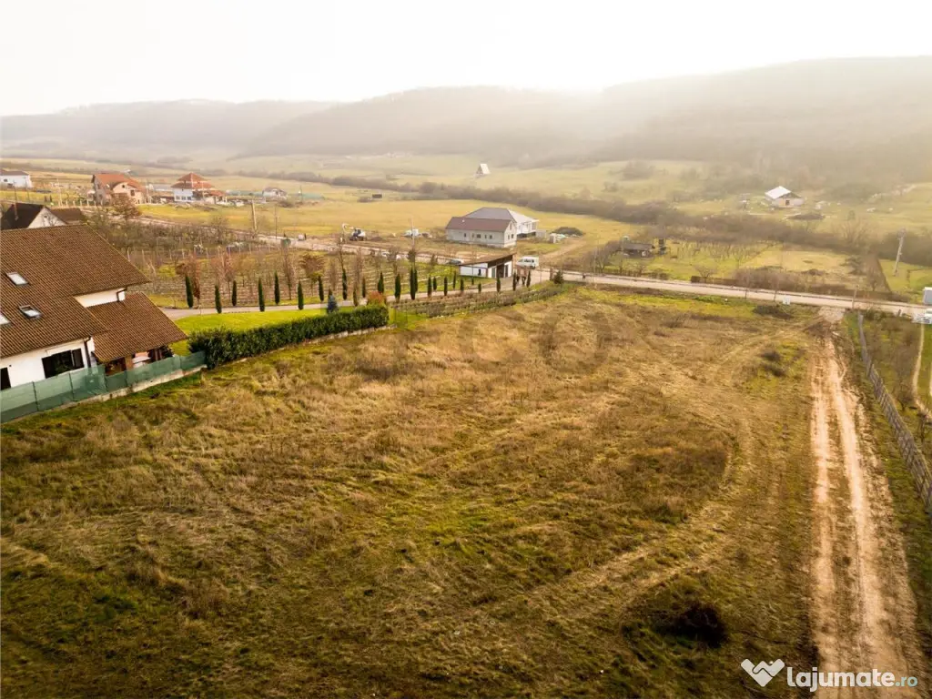 RECO Teren intravilan langa padure- PUZ aprobat -Betfia 