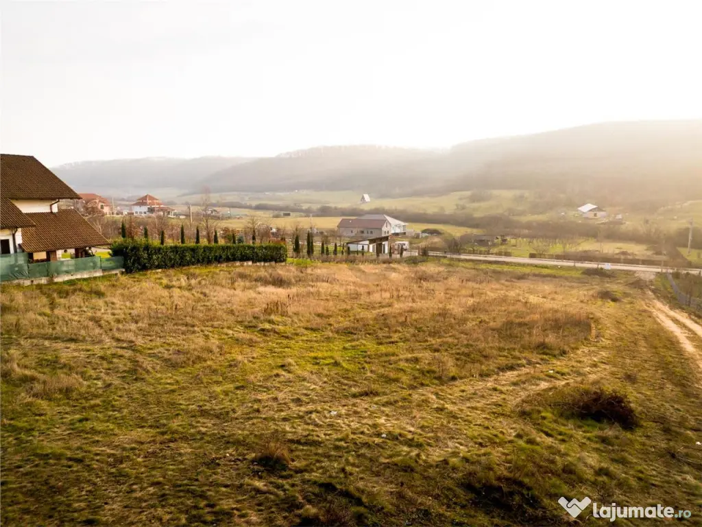 RECO Teren intravilan langa padure- PUZ aprobat -Betfia 