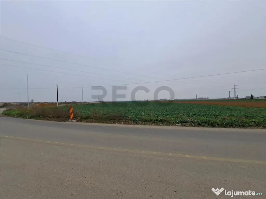 RECO teren intrare Chiribis 