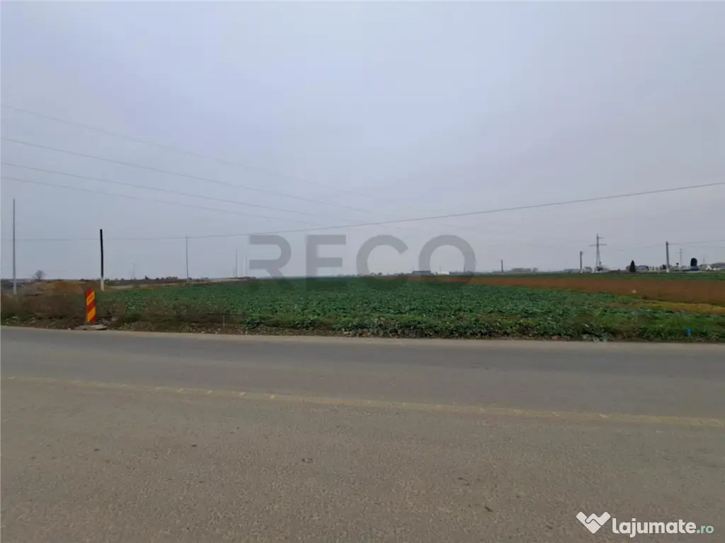 RECO teren intrare Chiribis 