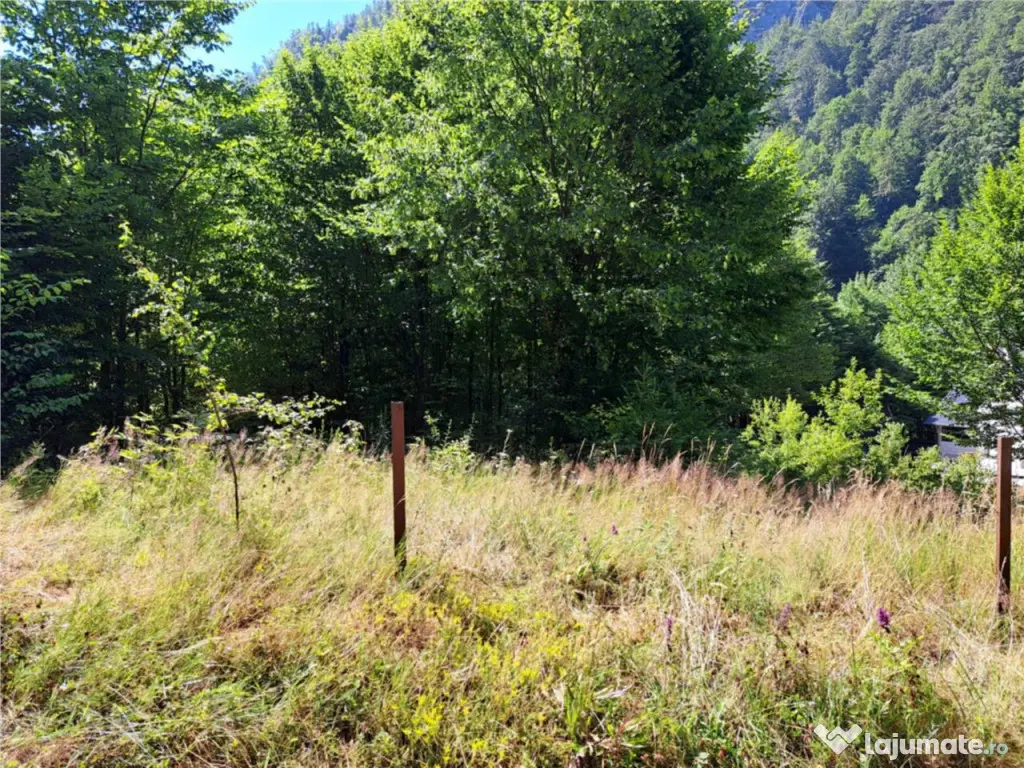 RECO Teren intravilan Boga 