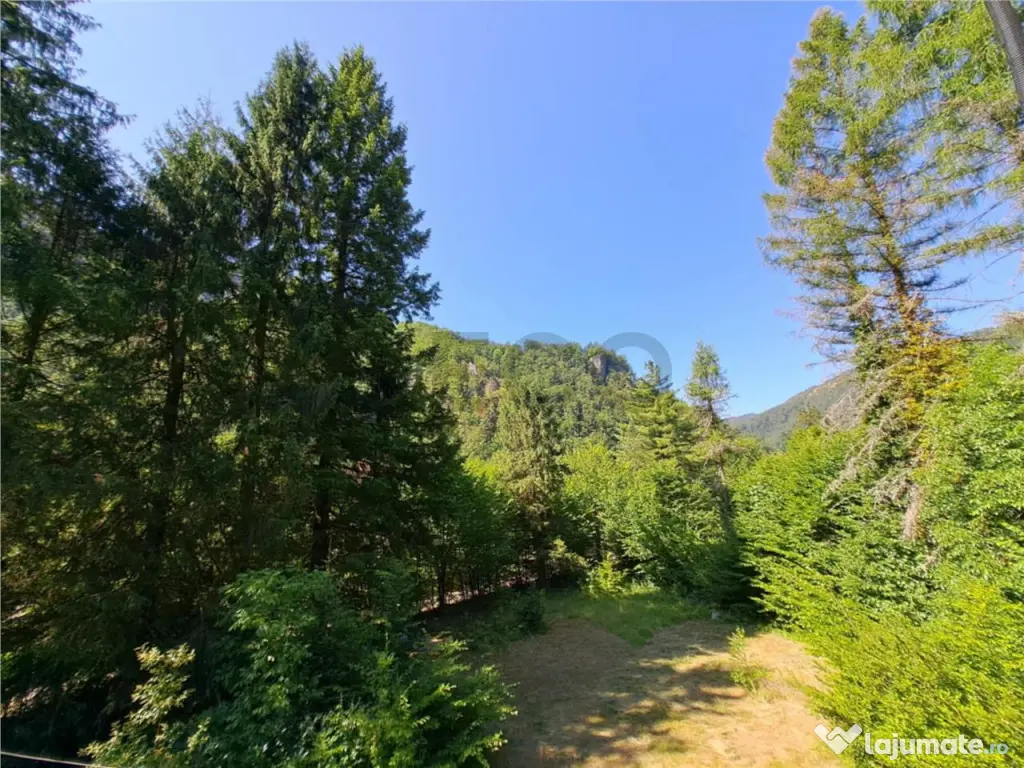 RECO Teren intravilan Boga 