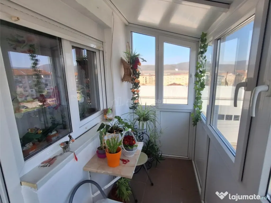 Bocsa, Apt.2 cam, Cf.1, Decom. Sala Sport MFA 