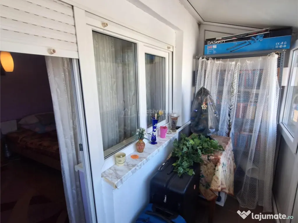 Bocsa, Apt.2 cam, Cf.1, Decom. Sala Sport MFA 