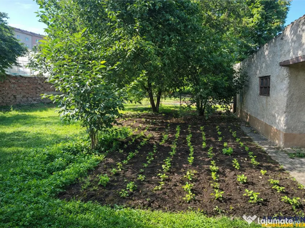 Duplex, personalizabil, cu 1.000 mp teren, Prejmer, Brasov 