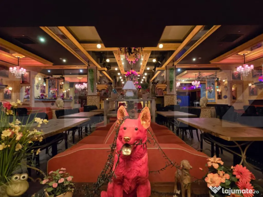 Club funcțional + sală evenimente, 701 mp, zona Nord