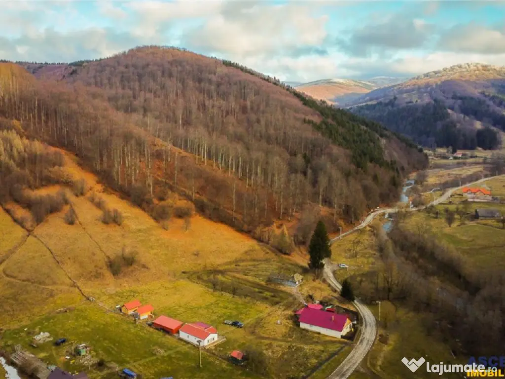 Teren la poalele padurii,Buzaiel,Vama Buzaului,DJ,constructi