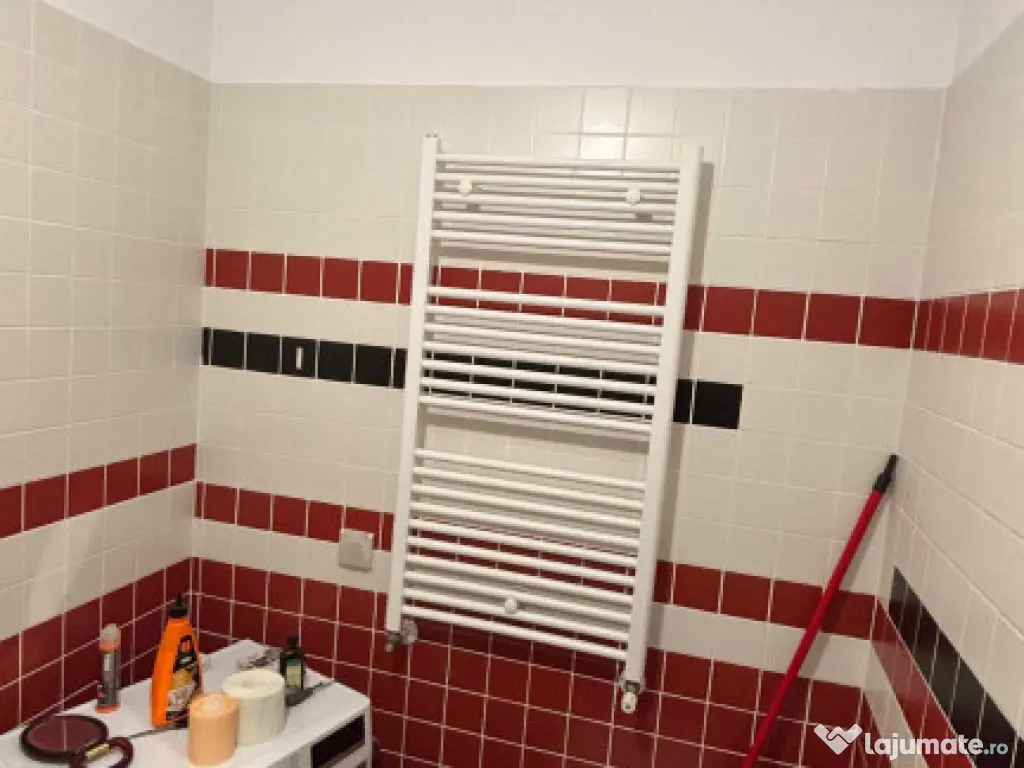 Brancoveanu the park ttneretului 