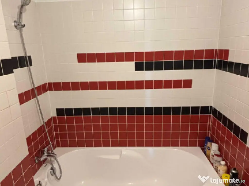 Brancoveanu the park ttneretului 