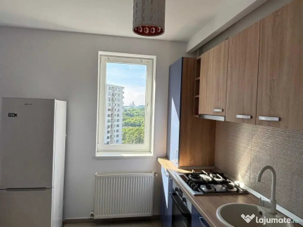 Brancoveanu the park ttneretului 