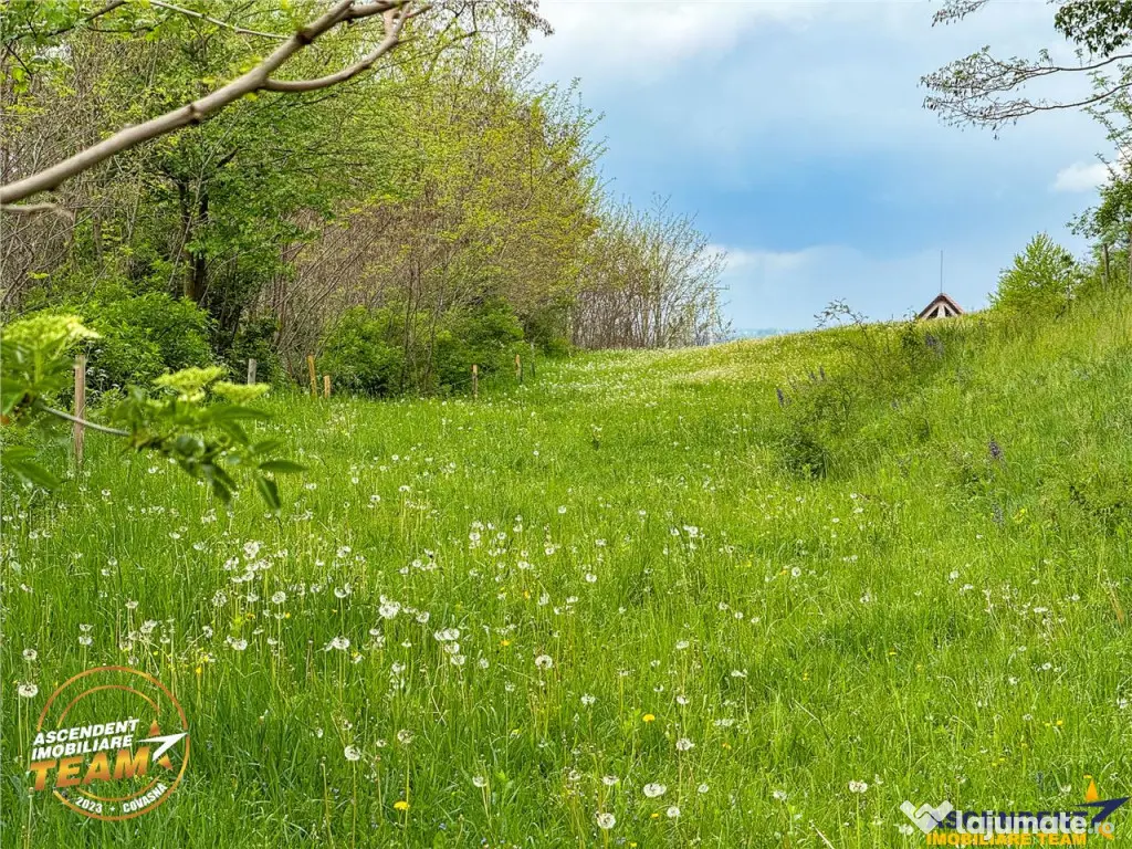 FILM! Teren intravilan, 6.500 mp, Papauti, Covasna 