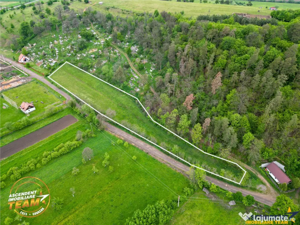 FILM! Teren intravilan, 6.500 mp, Papauti, Covasna 