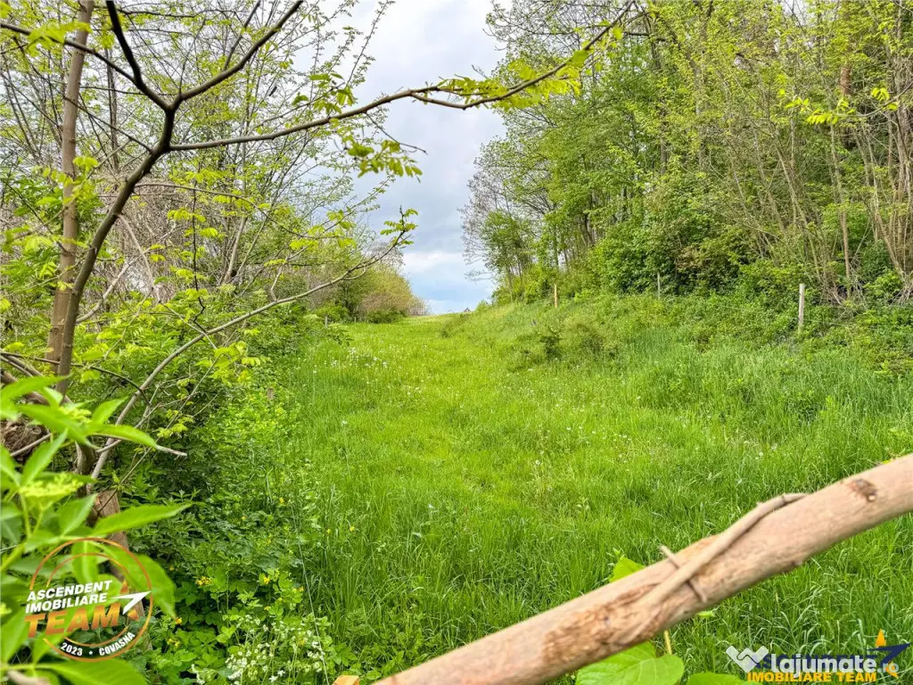 FILM! Teren intravilan, 6.500 mp, Papauti, Covasna 