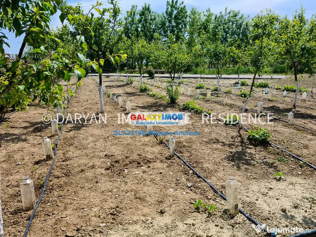 Teren in Poienari Apostoli, 21 E/mp, Avantajos, DN1, 34.500 