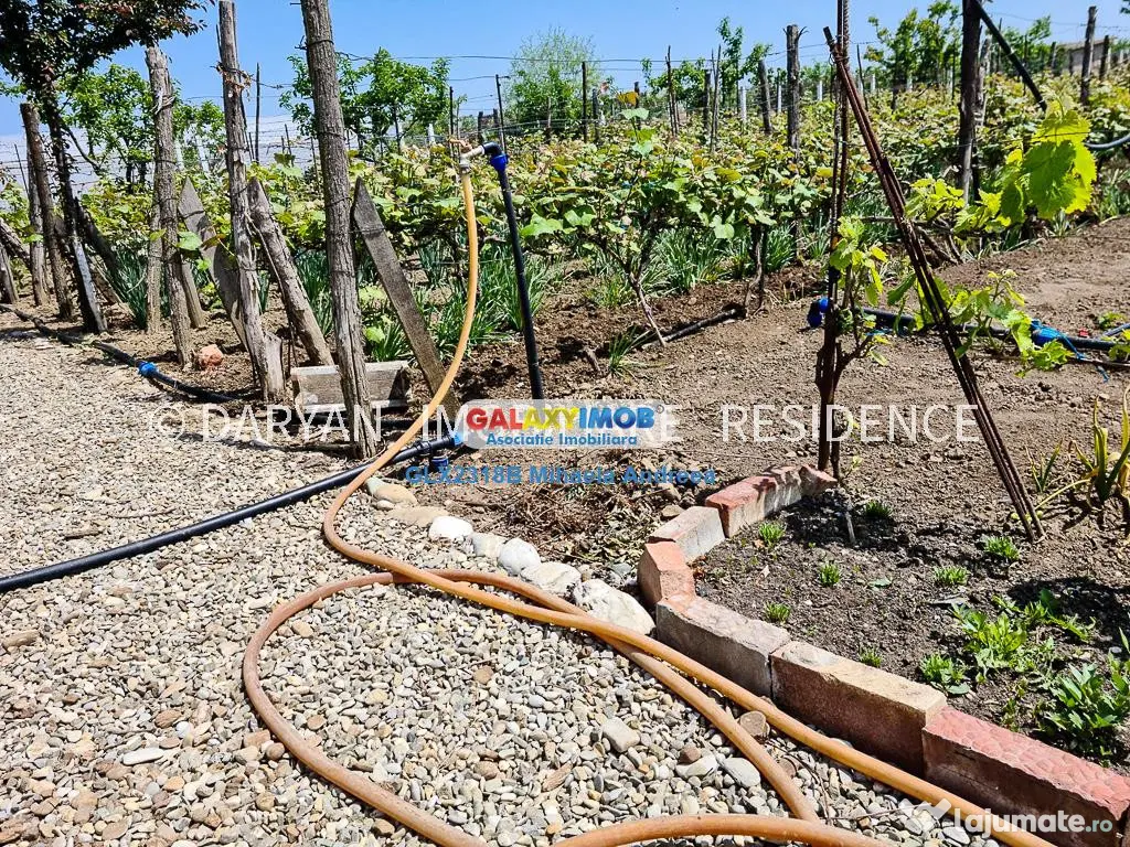 Teren in Poienari Apostoli, 21 E/mp, Avantajos, DN1, 34.500 