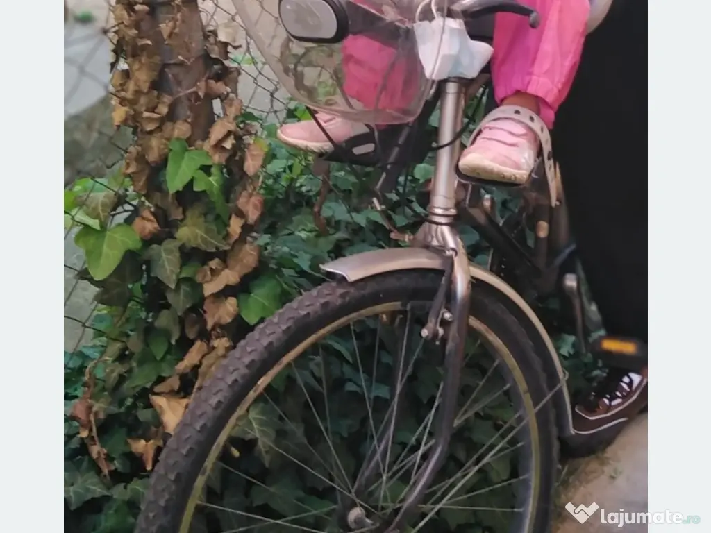 Scaun cu parbriz , pentru bicicletă 