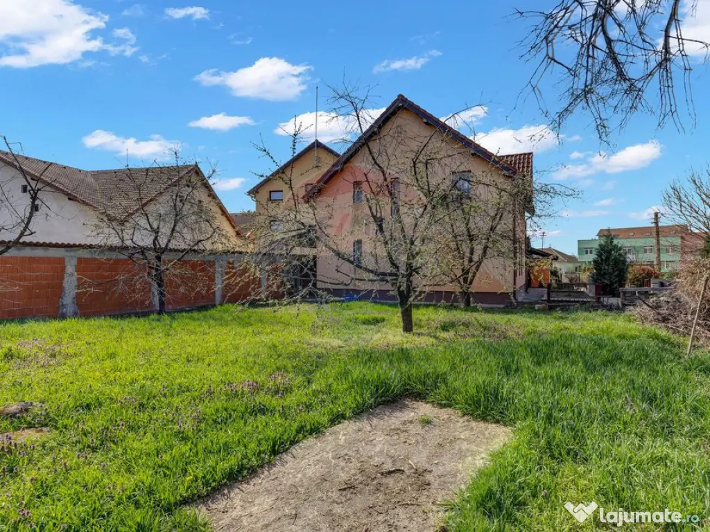 Oportunitate rară în Chișineu-Criș: locuință și sp...